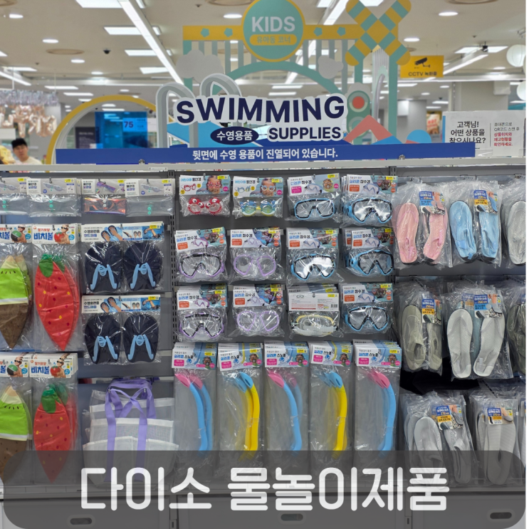  여름 준비 끝! 다이소 물놀이템 한눈에 보기