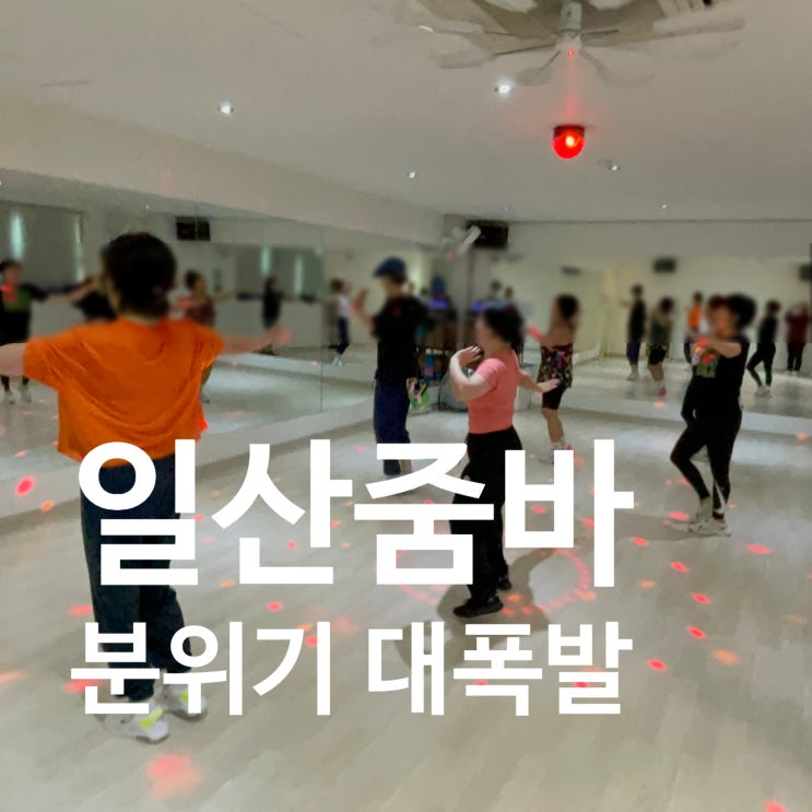  일산 줌바 요즘 분위기 미친 레디바디 탄현점
