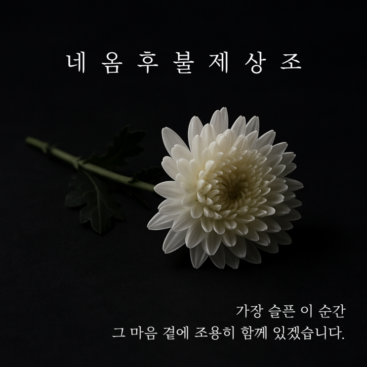 대구후불제상조, 마지막을 따뜻하게 보내는 동반자