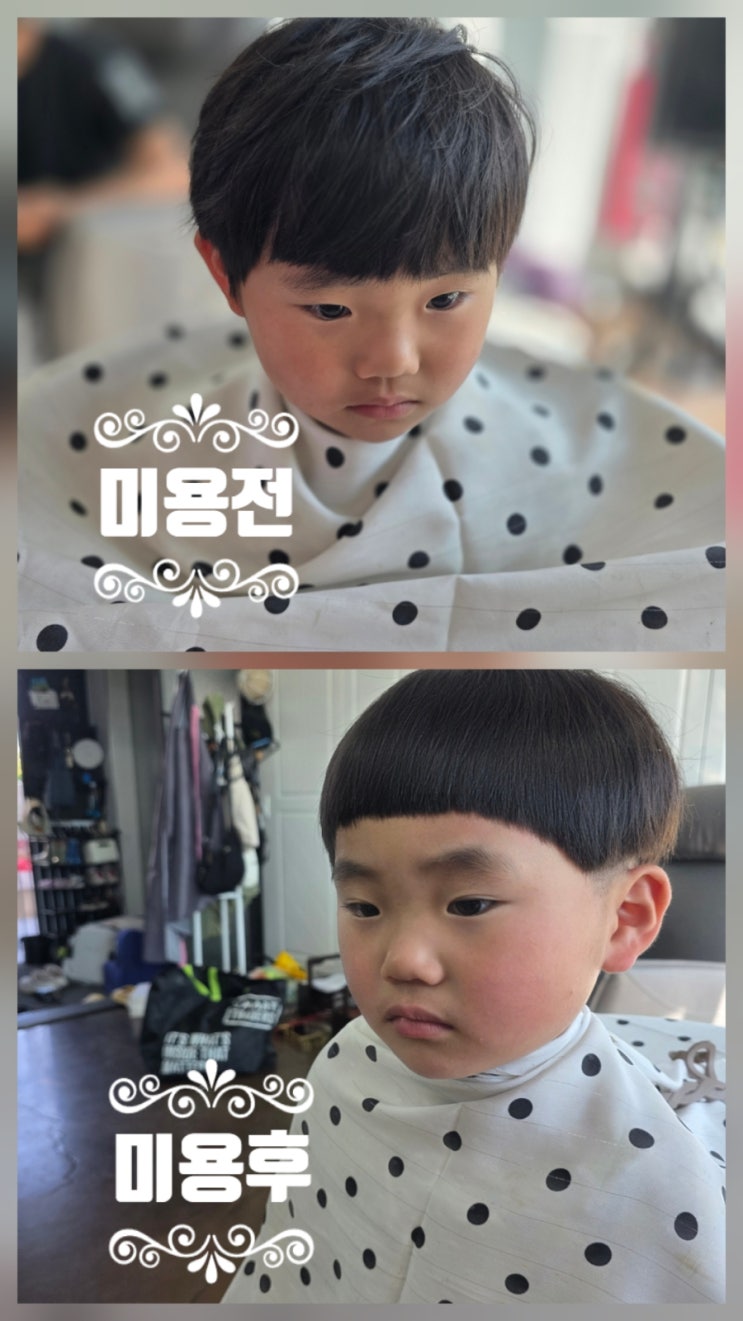  가정용이발기 추천   하이맥스 장미 프로 이발기 CL9700K