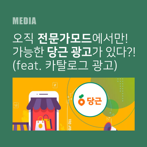오직 전문가모드에서만(!) 가능한 당근 광고가 있다?! (feat. 카탈로그 광고)