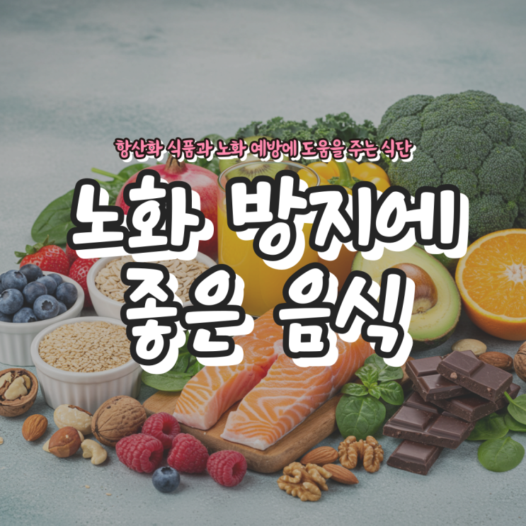  노화 방지에 좋은 음식 - 항산화 식품과 노화 예방에 도움을 주는 식단