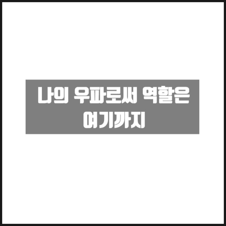 나의 우파로써의 역할은 여기까지 나의 우파로써의 역할은 여기까지
