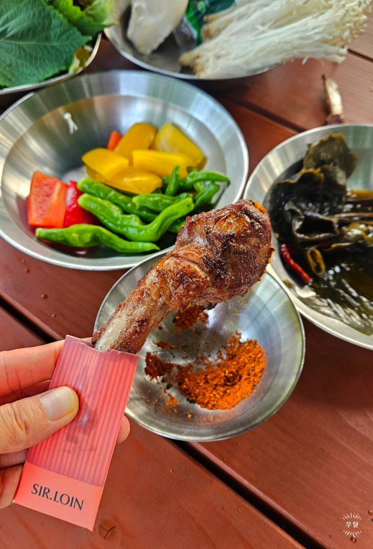  울산문수피크닉장 캠핑장음식 양갈비굽는법 추천 ft.설로인 램로인 홈세트