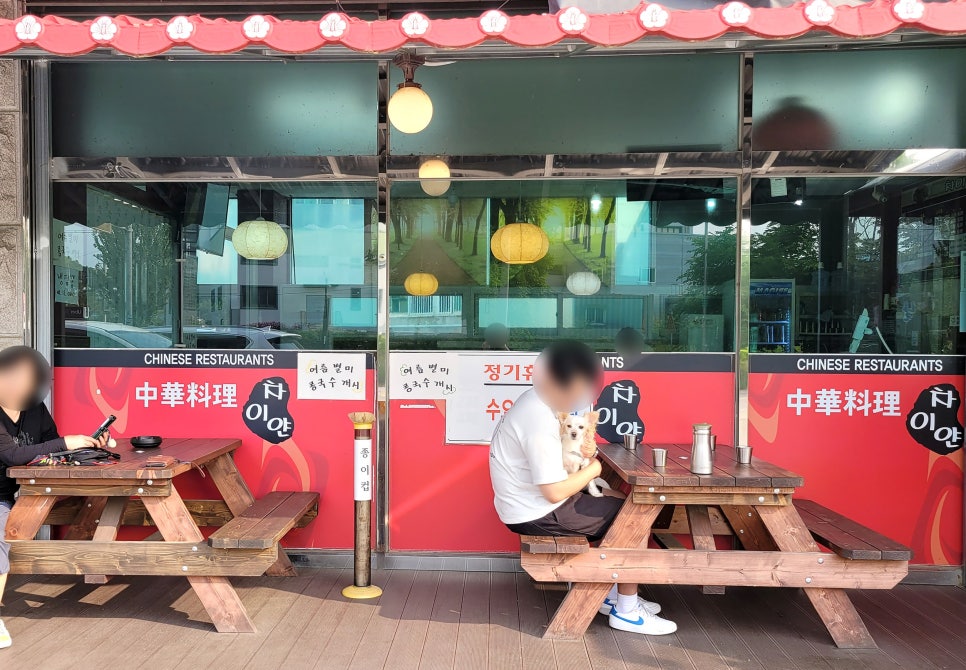 차이얀 사진 5