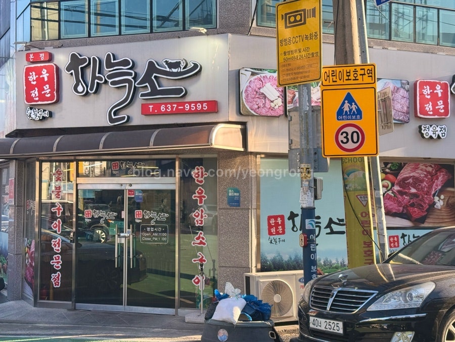 하늘소 사진 2
