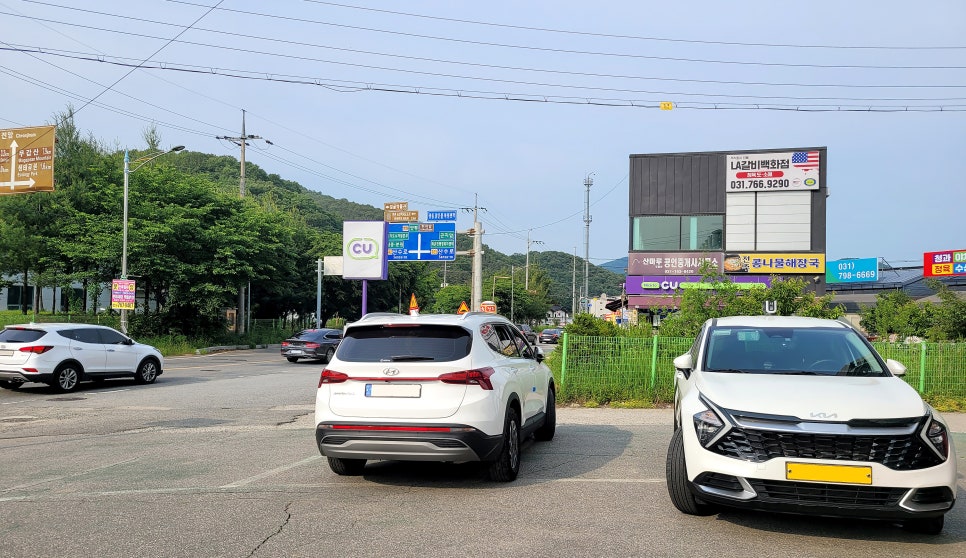 차이얀 사진 3
