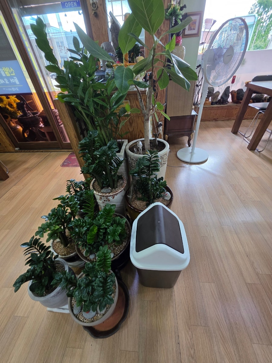 뒷골보리밥집 사진 8