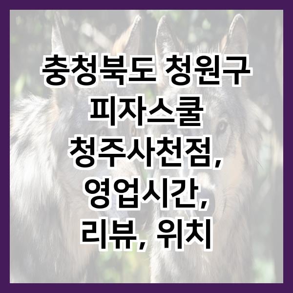 피자스쿨 청주사천점 사진 1