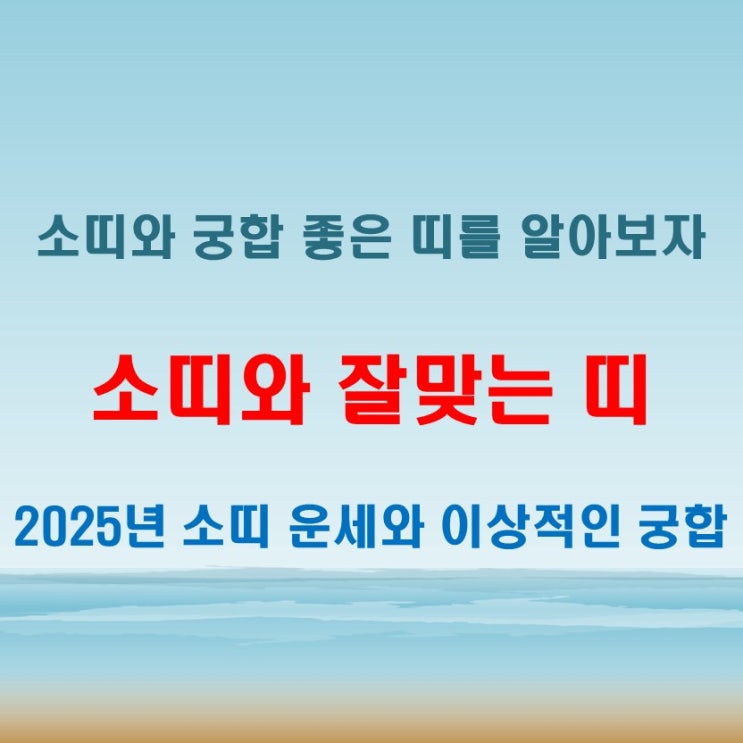  2025년 소띠와 잘 맞는 띠 궁합 어떤 띠와 만나는 게 좋을까