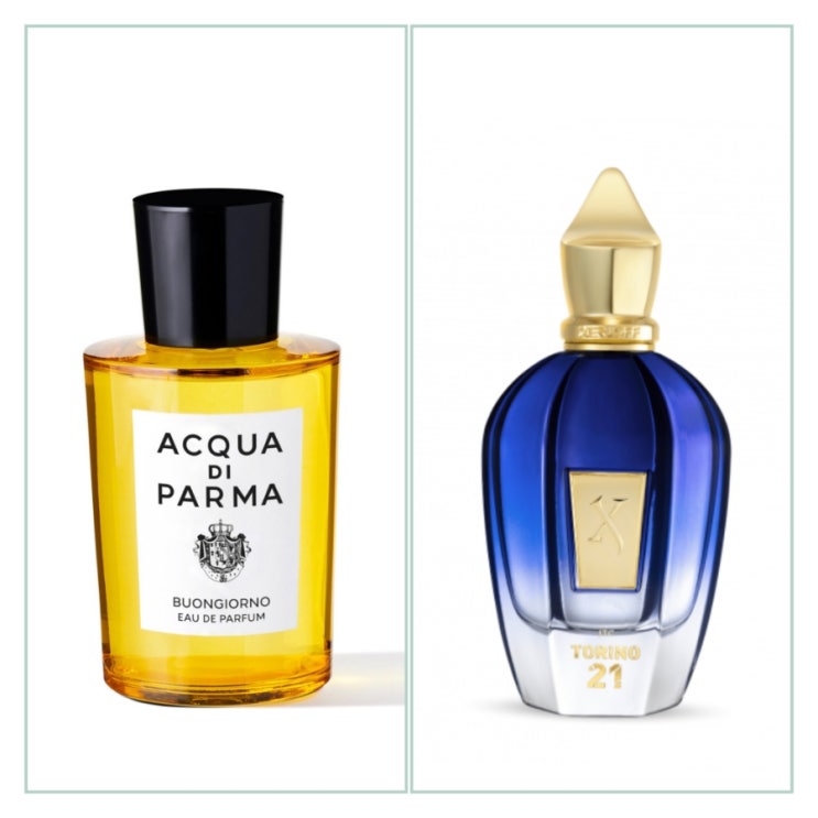  아쿠아디파르마 본조르노 Acqua di Parma Buongiorno vs. 제르조프 토리노21 Xerjoff Torino21