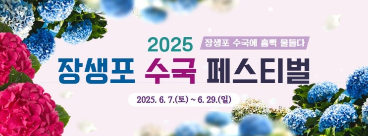  2025년 울산 장생포 수국축제 페스티벌 일정