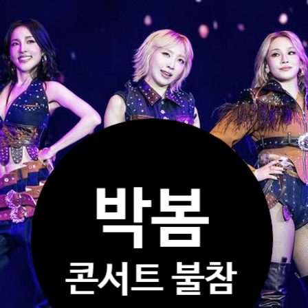  박봄 LA 공연 불참 이유 있었다! 2NE1 3인조 무대 충격!