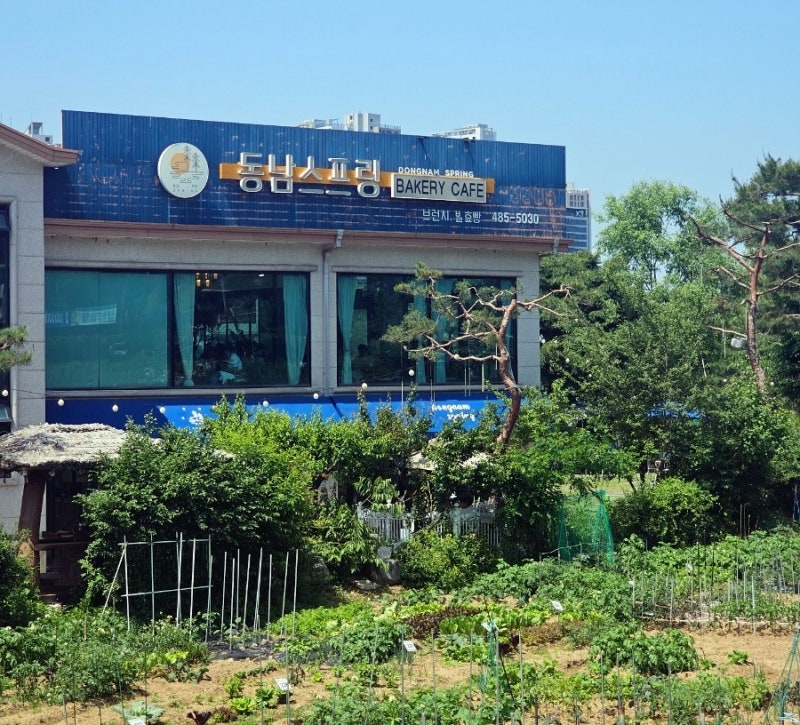 사진 5