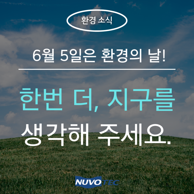  [환경소식#8] 환경의 날, 작은 실천이 만드는 푸른 기적