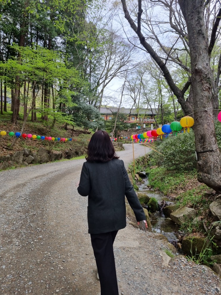  순천 선암사 송광사 우리나라문화유산 유명한절 가볼만한곳