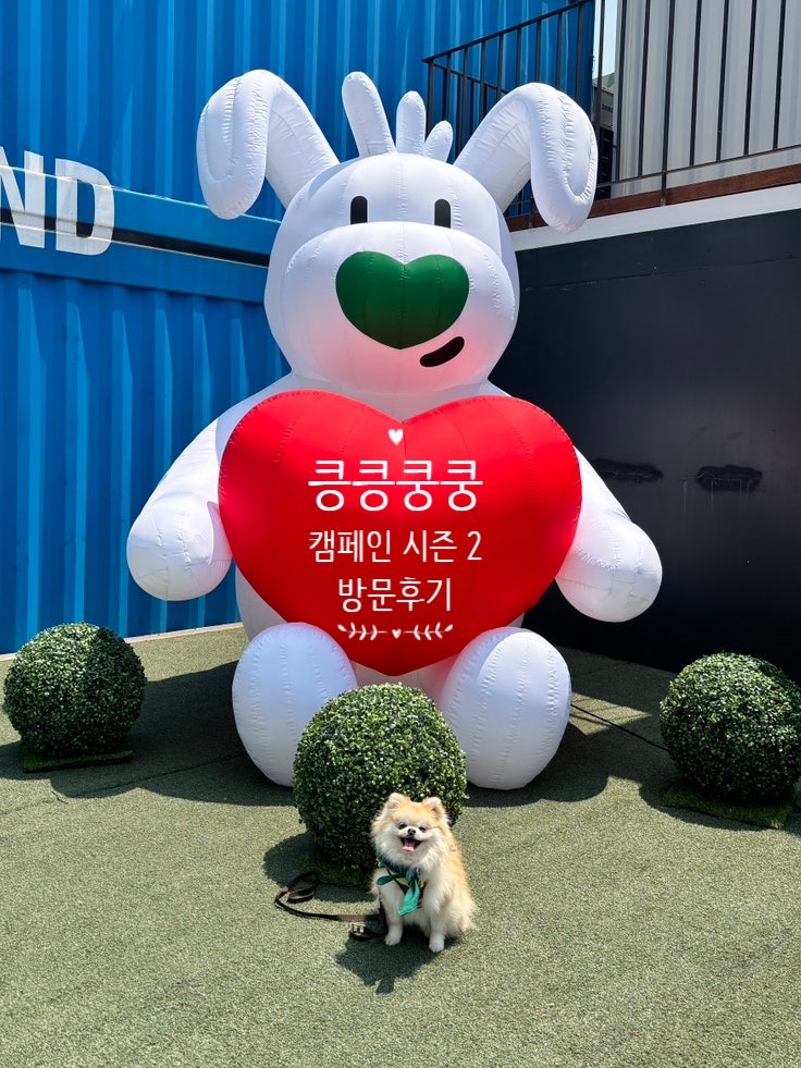  반려견행사 '킁킁쿵쿵 캠페인' 시즌2 참여 후기 in 서울숲