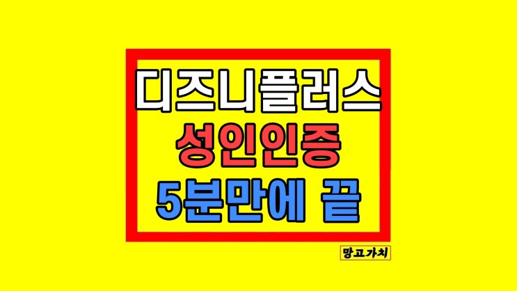 디즈니플러스 성인인증 방법 및 오류 해결 디즈니플러스 성인인증 방법 및 오류 해결