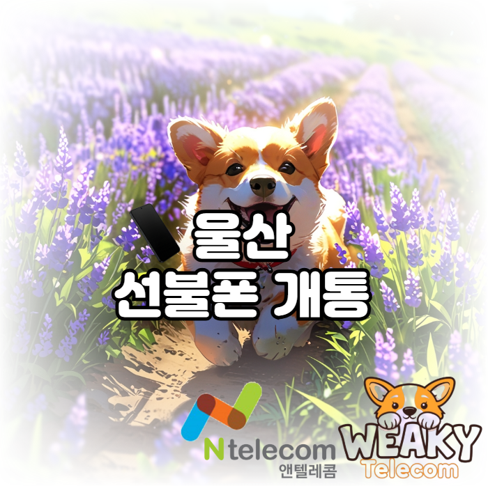  울산선불폰 개통 내 명의로 된 핸드폰을 사용하고 싶다면?