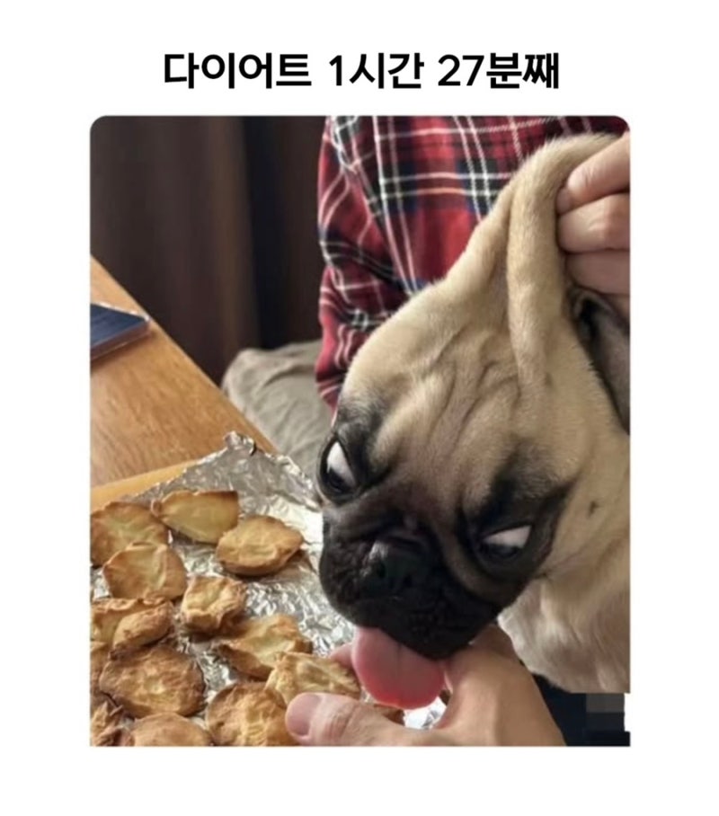 청라헬스장추천 고강도다이어트짐 청라점PT