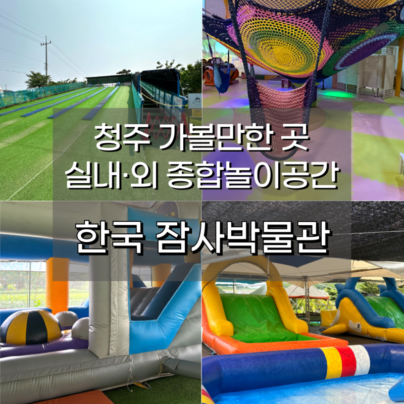 청주 한국잠사박물관 후기! 수영장과 썰매, 오디축제와 동물체험까지