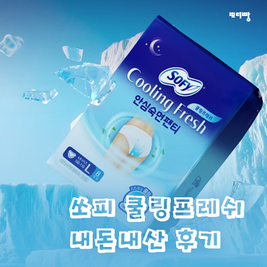  쏘피 쿨링 프레쉬 안심숙면팬티 입는오버나이트 내돈내산
