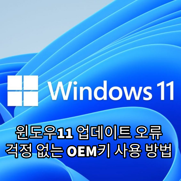 윈도우11 업데이트 오류 걱정 없는 OEM키 사용 방법
