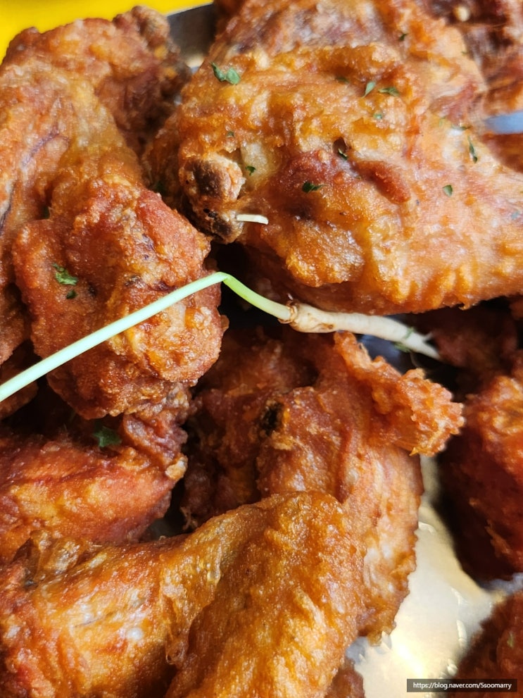  판교 야키토리 닭꼬치 맛집 일편닭심 후라이드치킨 하이볼