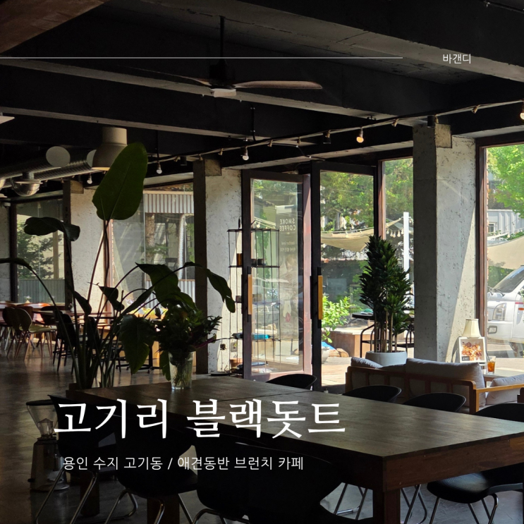  용인 고기리 애견동반 브런치 카페 블랙돗트