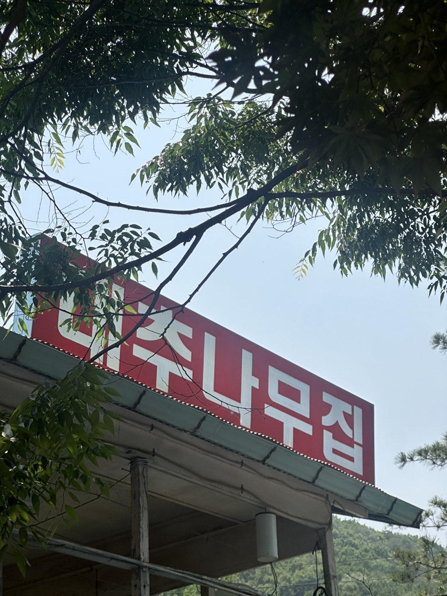 Daechunamujip photo 5