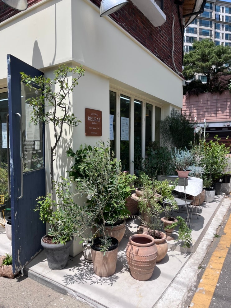  리리프아틀리에 | 서래마을꽃집에서 반려식물 데려오기 | 반려동물안전식물