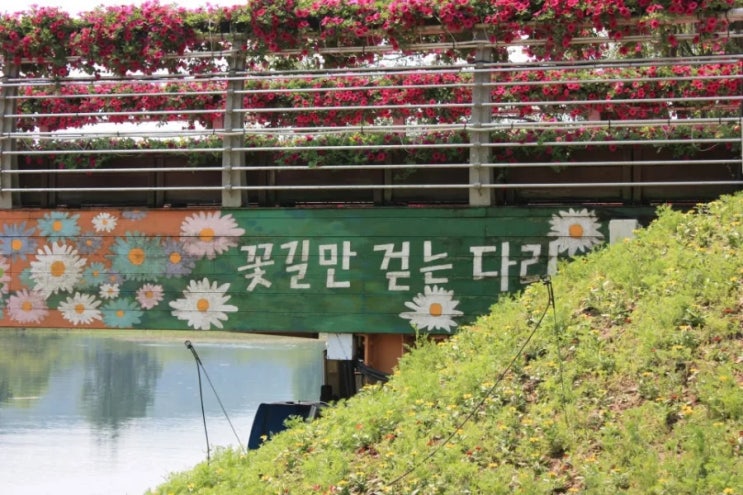 지명한 이완규, 함상훈 <b>헌법재판관</b> 후보자 지명을 <b>철회</b>했다.
