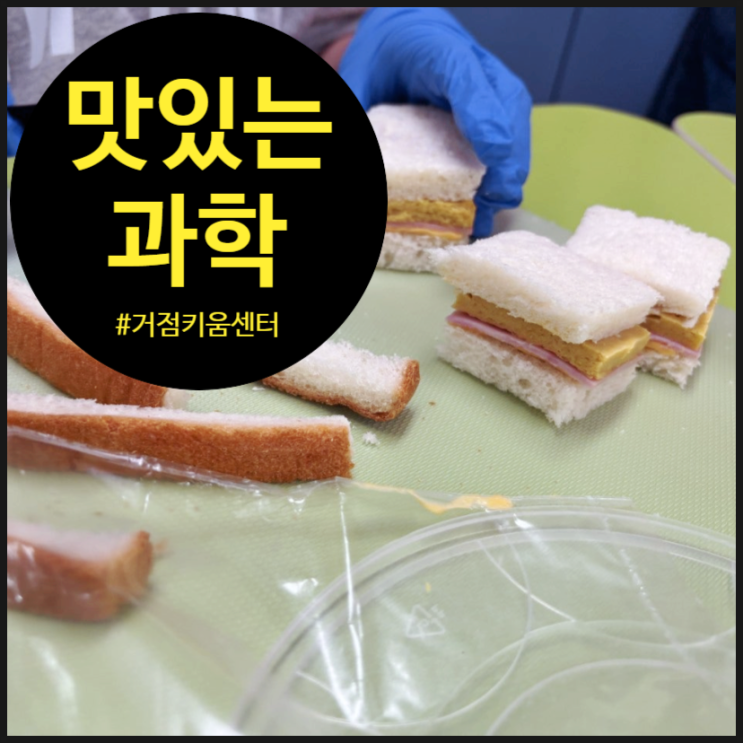  [키움센터 수업후기]  냉장고 속 과학 탐험! 비건달걀 요리까지!-초등 방과후 과학 수업 | 오해피데이지