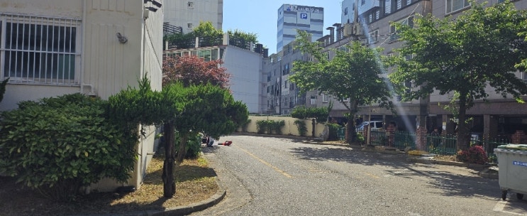  울산 남구 달동 삼양사 사원아파트 70평 예초,제초 및 전정대행