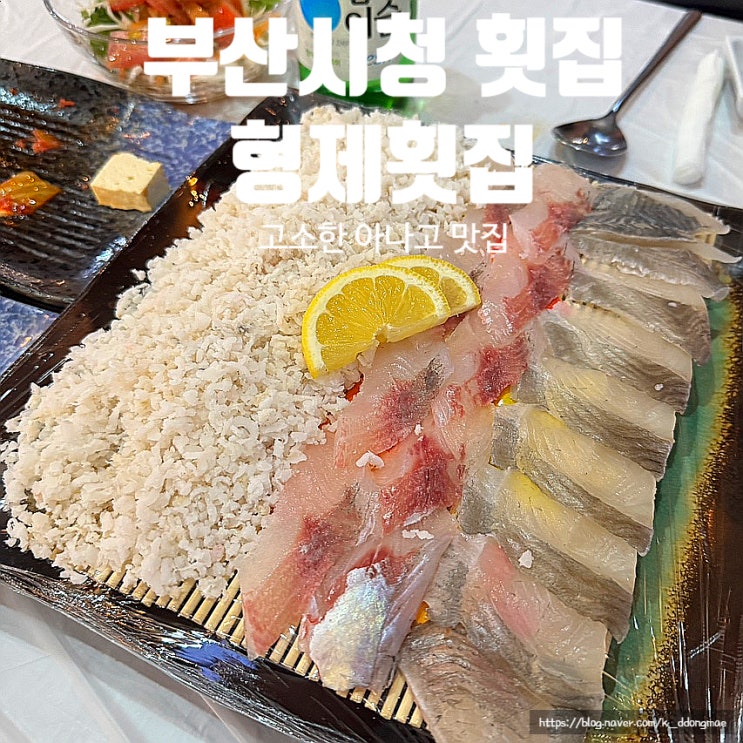  부산시청 횟집 '형제횟집' 아나고 맛집 가성비 횟집