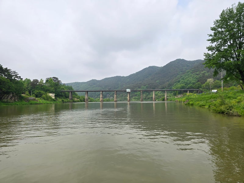 사진 7
