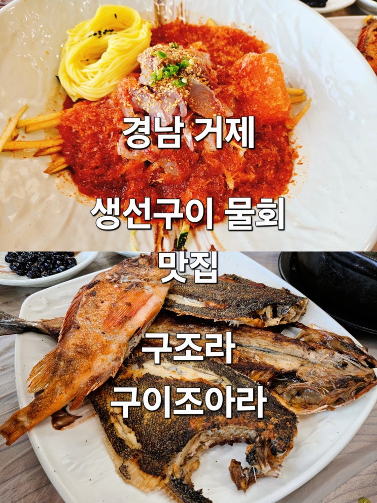 경남 거제 반려동물 동반 가능 물회 생선구이 맛집 '구조라 구이조아라'