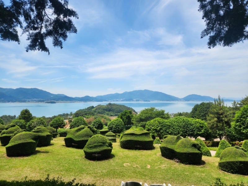 사진 9