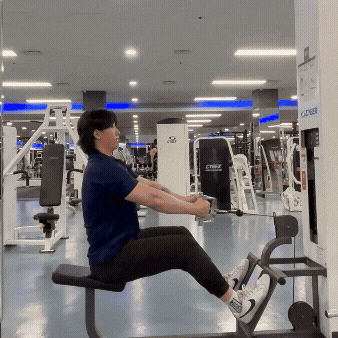  초보자들을 위한 시티드로우 가이드!