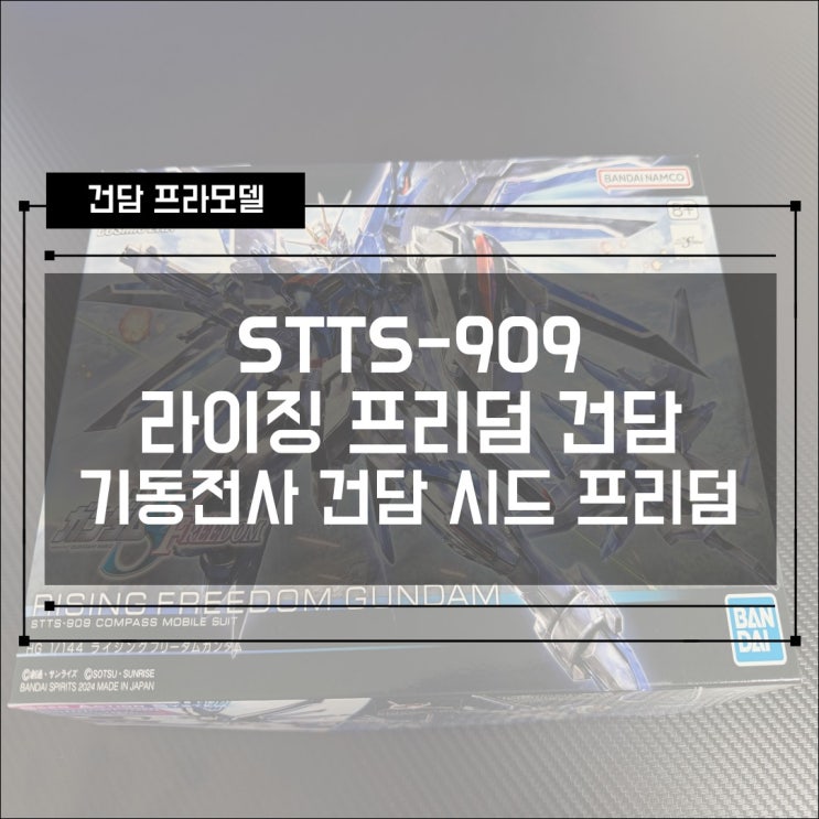  [건프라] STTS-909 HGCE 라이징 프리덤 건담 조립 / 극장판 기동전사 건담 시드 프리덤