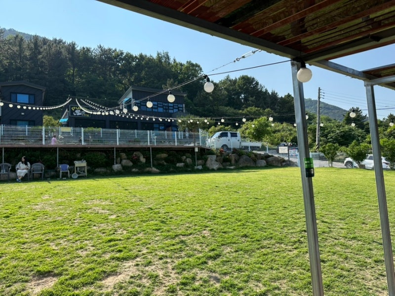 퍼피앤독 애견운동장&편집샵