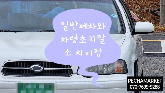  일반폐차와 차령초과말소 차이점