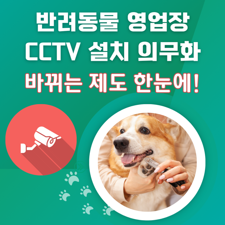  반려동물 cctv 의무 설치｜2026년까지 달라지는 전체 영업장 제도 총정리