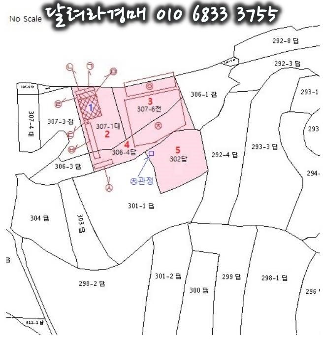 사진 3