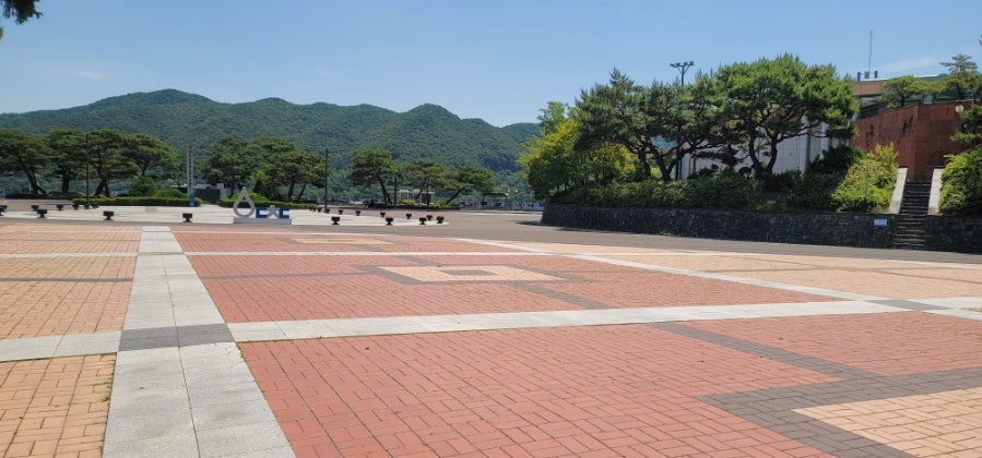 소골 사진 5