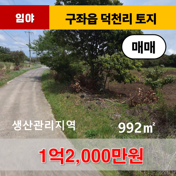  《제주도토지》 구좌읍 덕천리 삼덕천거리 인근 임야 매매