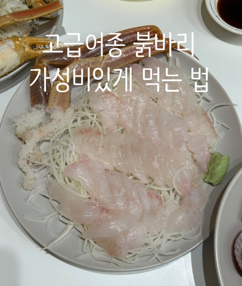 고급어종 싸게먹기 | 다금바리 친구 붉바리 회 시세 가격 맛 후기 (노량진 참조은수산 오로시....