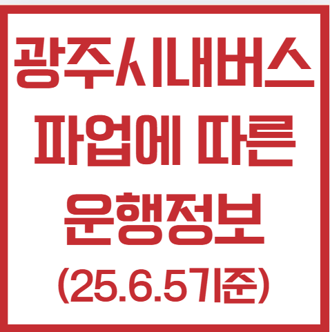 <b>광주 시내버스 파업</b>, 광주시내버스 운행정보(25.6.5기준)