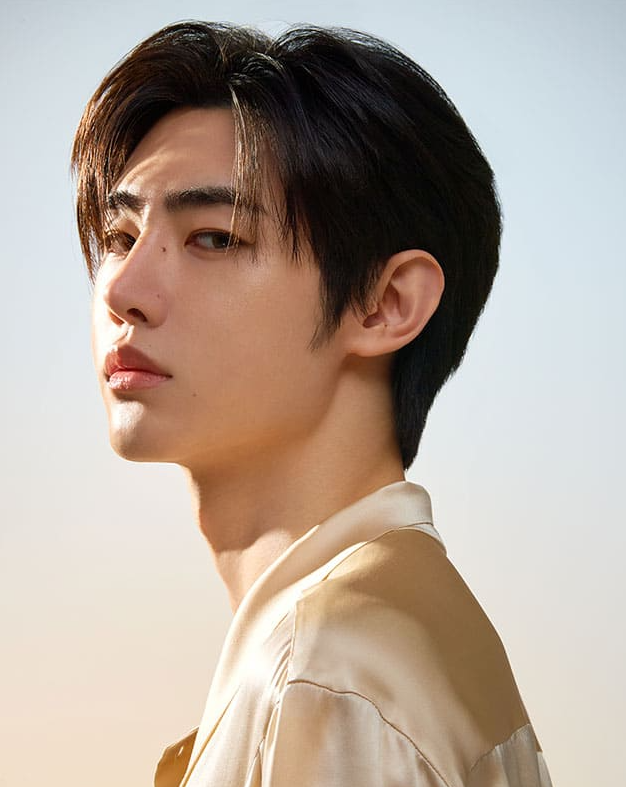 ENHYPEN Sunghoon's Saju (Four Pillars of Destiny)