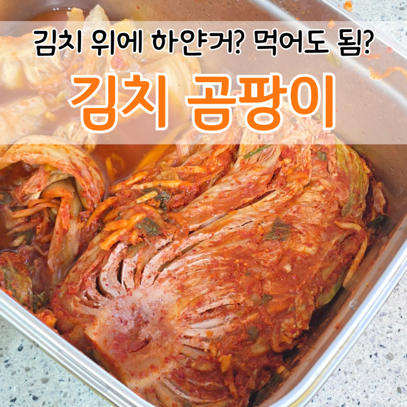 김치흰색곰팡이 먹어도 되나요? 적정 김치냉장고 온도는?